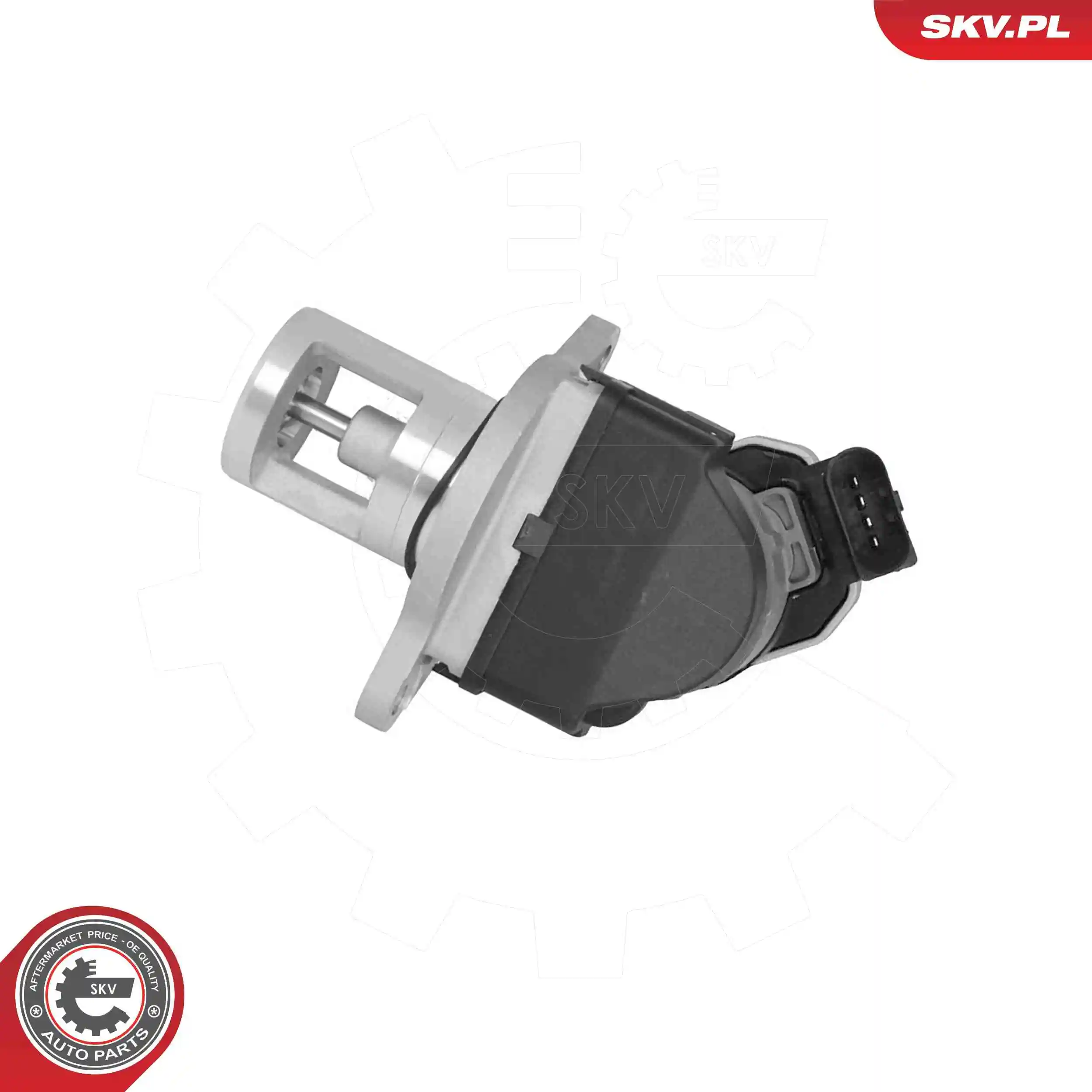 EGR Valve